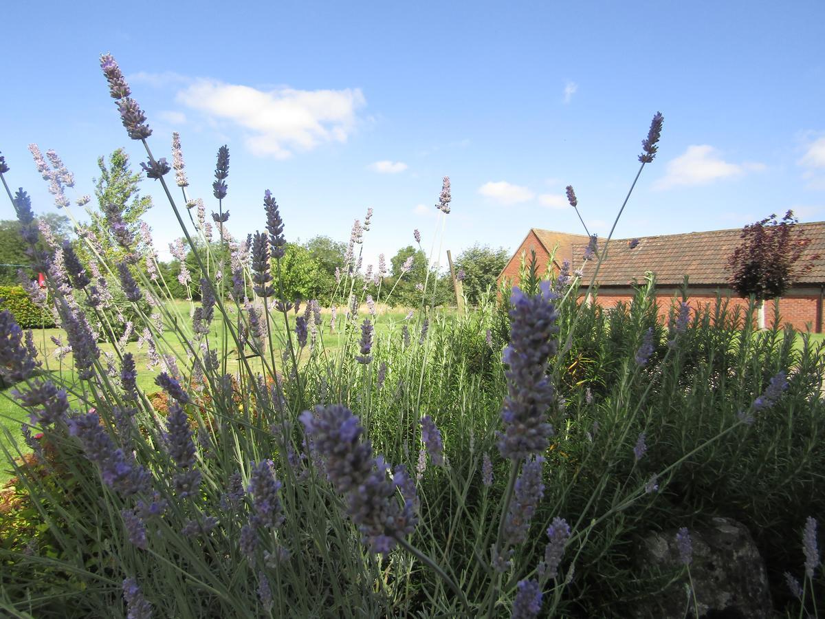 Home Farm Boreham Warminster Εξωτερικό φωτογραφία