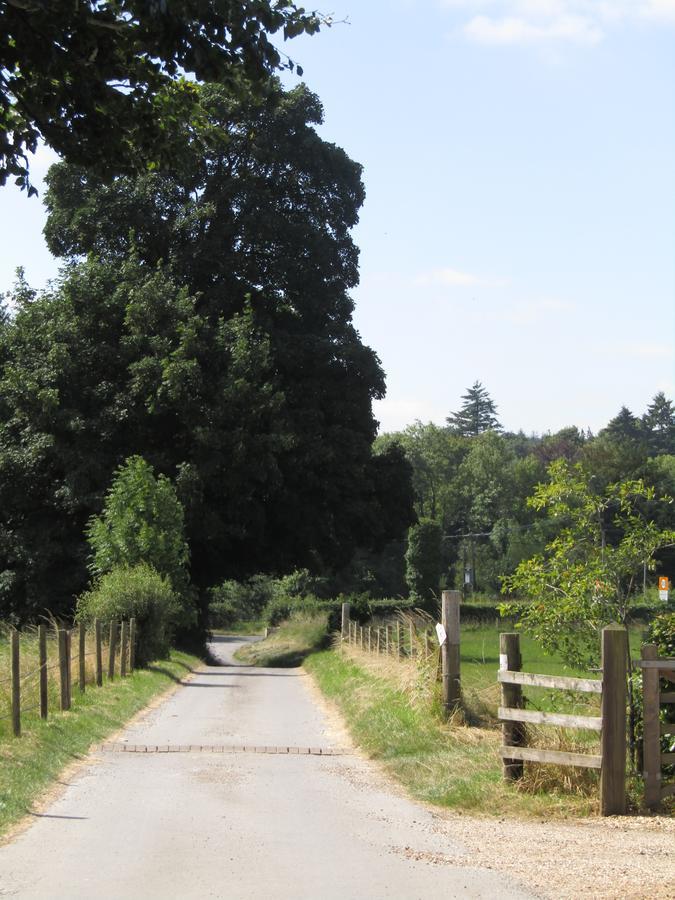 Home Farm Boreham Warminster Εξωτερικό φωτογραφία