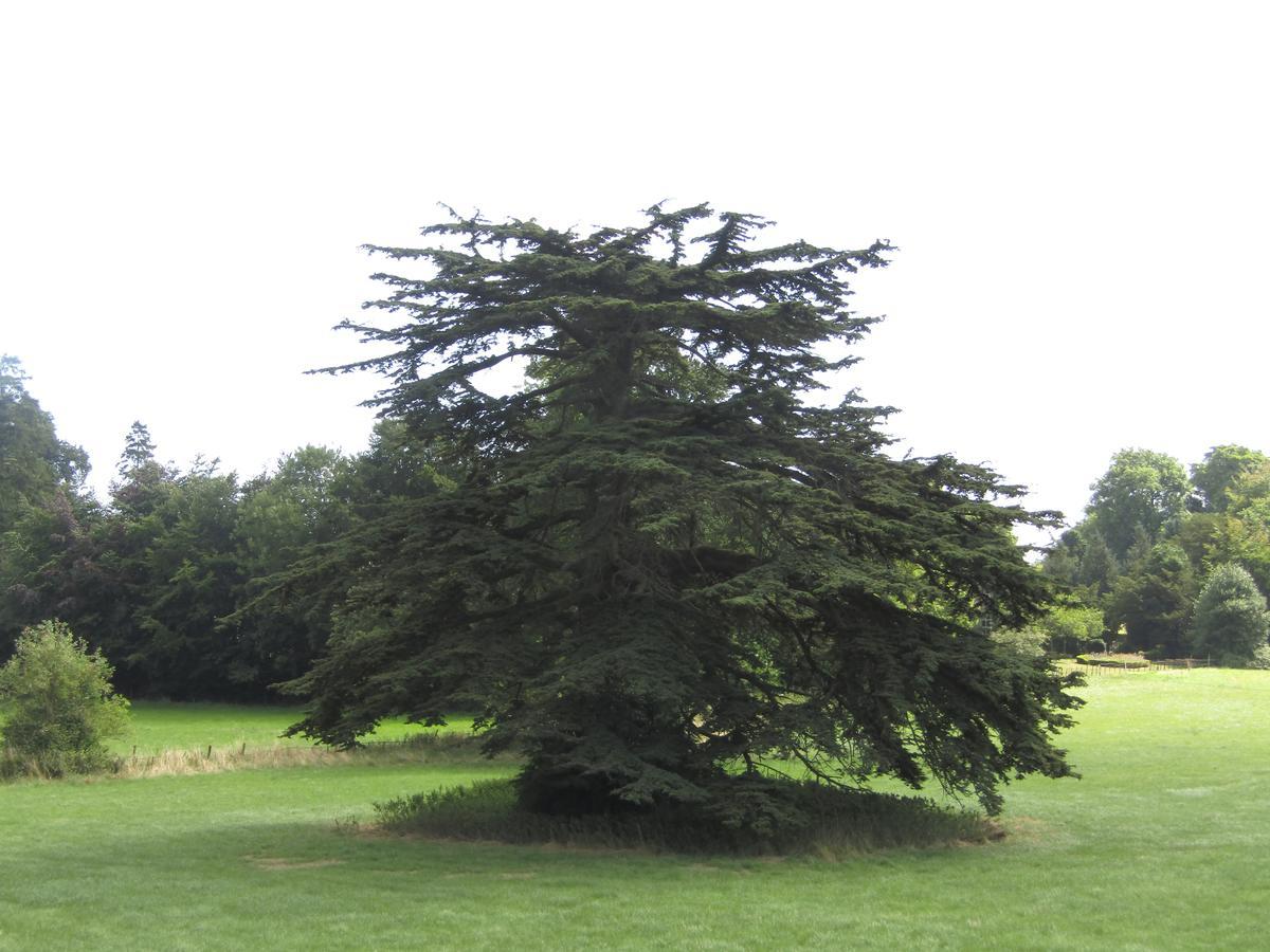 Home Farm Boreham Warminster Εξωτερικό φωτογραφία