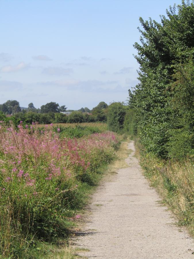 Home Farm Boreham Warminster Εξωτερικό φωτογραφία